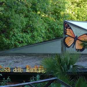 Viagrande, Casa delle Farfalle