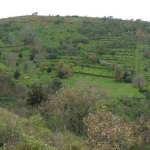 Viagrande, Parco del Monte Serra